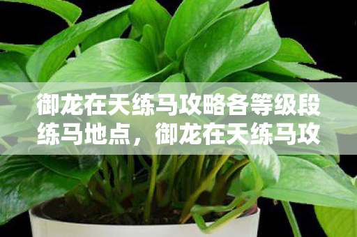 御龙在天练马攻略各等级段练马地点,御龙在天练马攻略,提升马匹实力与驾驭技巧的全面指南 御龙在天练马攻略各等级段练马地点,御龙在天练马攻略,提升马匹实力与驾驭技巧的全面指南