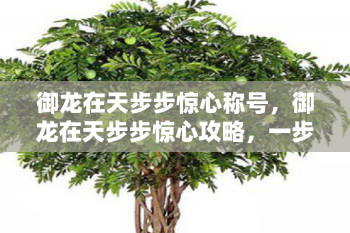 御龙在天步步惊心称号，御龙在天步步惊心攻略，一步步走向巅峰