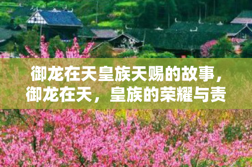 御龙在天皇族天赐的故事，御龙在天，皇族的荣耀与责任