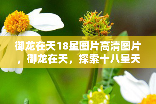 御龙在天18星图片高清图片，御龙在天，探索十八星天尊的神秘面纱
