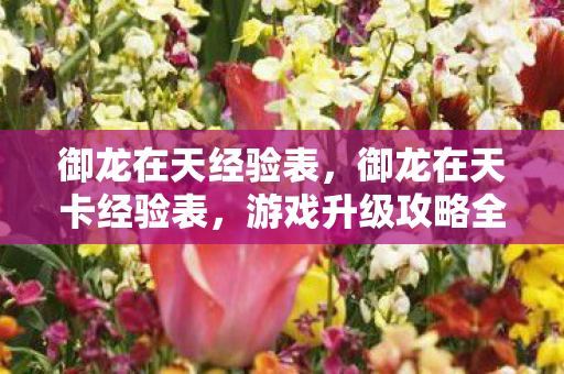 御龙在天经验表,御龙在天卡经验表,游戏升级攻略全解析 御龙在天经验表,御龙在天卡经验表,游戏升级攻略全解析
