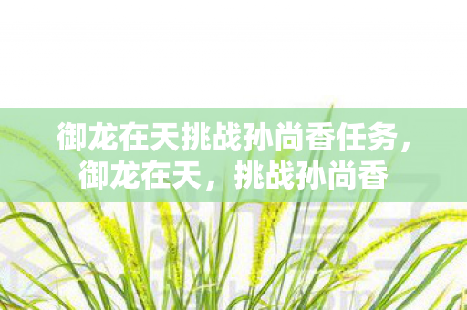 御龙在天挑战孙尚香任务,御龙在天,挑战孙尚香 御龙在天挑战孙尚香任务,御龙在天,挑战孙尚香