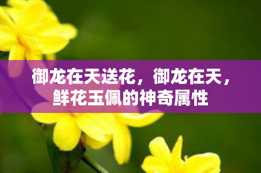 御龙在天送花,御龙在天,鲜花玉佩的神奇属性 御龙在天送花,御龙在天,鲜花玉佩的神奇属性