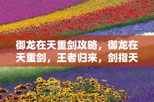 御龙在天重剑攻略，御龙在天重剑，王者归来，剑指天下！