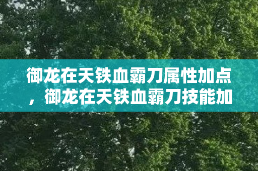御龙在天铁血霸刀属性加点,御龙在天铁血霸刀技能加点攻略 御龙在天铁血霸刀属性加点,御龙在天铁血霸刀技能加点攻略