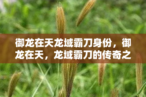 御龙在天龙域霸刀身份，御龙在天，龙域霸刀的传奇之旅