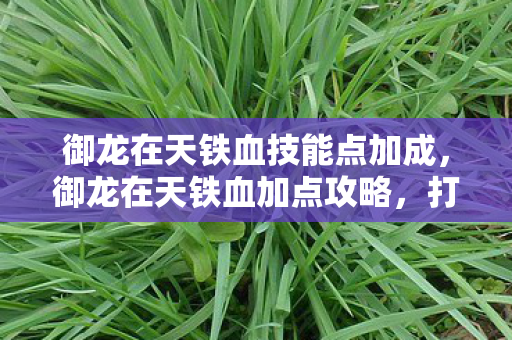 御龙在天铁血技能点加成,御龙在天铁血加点攻略,打造无敌战士的秘诀 御龙在天铁血技能点加成,御龙在天铁血加点攻略,打造无敌战士的秘诀