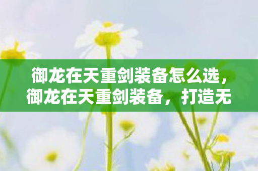 御龙在天重剑装备怎么选,御龙在天重剑装备,打造无敌战力的必备利器 御龙在天重剑装备怎么选,御龙在天重剑装备,打造无敌战力的必备利器
