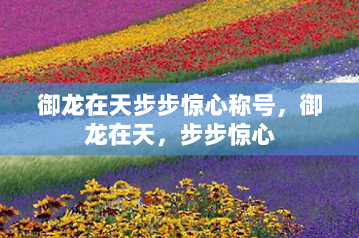 御龙在天步步惊心称号,御龙在天,步步惊心 御龙在天步步惊心称号,御龙在天,步步惊心