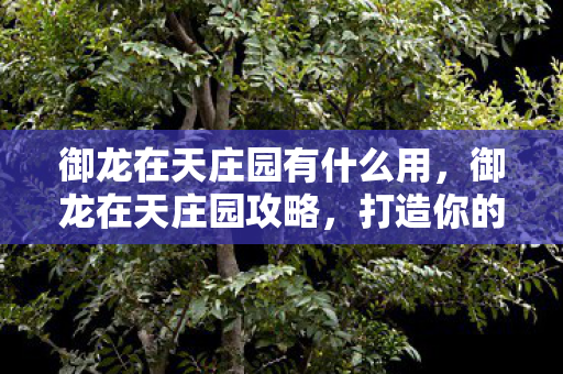 御龙在天庄园有什么用,御龙在天庄园攻略,打造你的专属领地 御龙在天庄园有什么用,御龙在天庄园攻略,打造你的专属领地