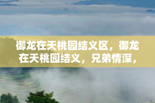 御龙在天桃园结义区,御龙在天桃园结义,兄弟情深,共赴江湖路 御龙在天桃园结义区,御龙在天桃园结义,兄弟情深,共赴江湖路