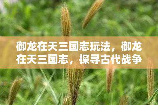 御龙在天三国志玩法,御龙在天三国志,探寻古代战争背后的智慧与策略 御龙在天三国志玩法,御龙在天三国志,探寻古代战争背后的智慧与策略