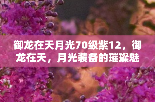 御龙在天月光70级紫12,御龙在天,月光装备的璀璨魅力 御龙在天月光70级紫12,御龙在天,月光装备的璀璨魅力