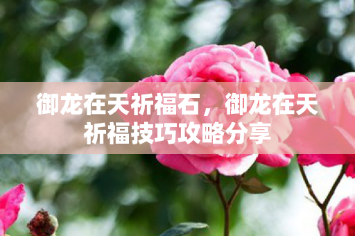 御龙在天祈福石，御龙在天祈福技巧攻略分享