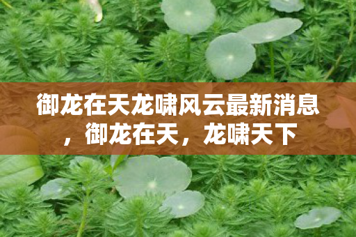御龙在天龙啸风云最新消息，御龙在天，龙啸天下