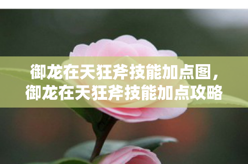 御龙在天狂斧技能加点图，御龙在天狂斧技能加点攻略，打造无敌战士的必经之路
