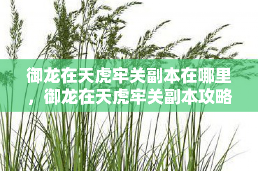 御龙在天虎牢关副本在哪里,御龙在天虎牢关副本攻略详解 御龙在天虎牢关副本在哪里,御龙在天虎牢关副本攻略详解