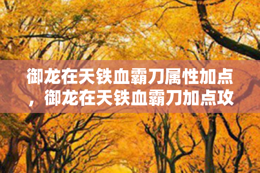 御龙在天铁血霸刀属性加点,御龙在天铁血霸刀加点攻略 御龙在天铁血霸刀属性加点,御龙在天铁血霸刀加点攻略