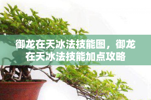 御龙在天冰法技能图,御龙在天冰法技能加点攻略 御龙在天冰法技能图,御龙在天冰法技能加点攻略
