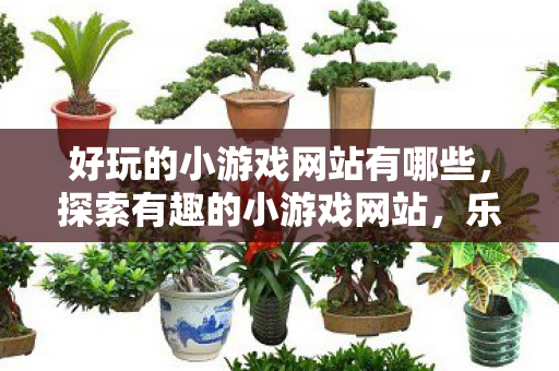 好玩的小游戏网站有哪些,探索有趣的小游戏网站,乐趣无穷的娱乐世界等你来挑战 好玩的小游戏网站有哪些,探索有趣的小游戏网站,乐趣无穷的娱乐世界等你来挑战