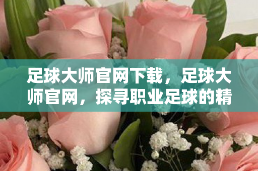 足球大师官网下载,足球大师官网,探寻职业足球的精英殿堂 足球大师官网下载,足球大师官网,探寻职业足球的精英殿堂
