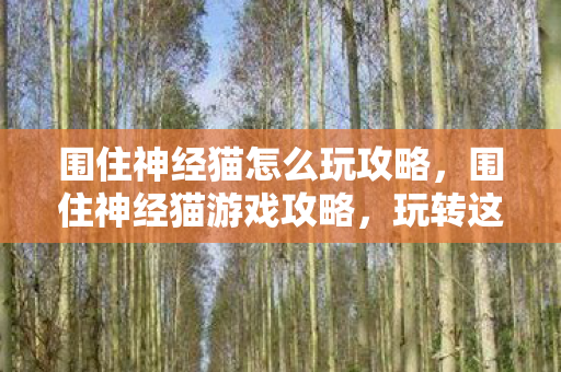 围住神经猫怎么玩攻略,围住神经猫游戏攻略,玩转这个充满挑战的游戏! 围住神经猫怎么玩攻略,围住神经猫游戏攻略,玩转这个充满挑战的游戏!