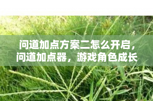 问道加点方案二怎么开启,问道加点器,游戏角色成长的关键要素 问道加点方案二怎么开启,问道加点器,游戏角色成长的关键要素