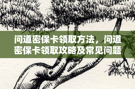 问道密保卡领取方法,问道密保卡领取攻略及常见问题解答 问道密保卡领取方法,问道密保卡领取攻略及常见问题解答