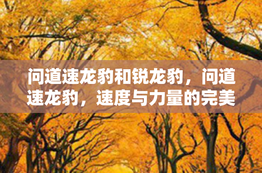 问道速龙豹和锐龙豹,问道速龙豹,速度与力量的完美结合 问道速龙豹和锐龙豹,问道速龙豹,速度与力量的完美结合