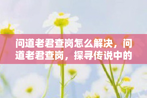 问道老君查岗怎么解决，问道老君查岗，探寻传说中的神秘之旅