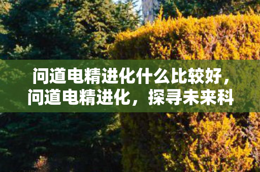 问道电精进化什么比较好，问道电精进化，探寻未来科技与文明的融合之路