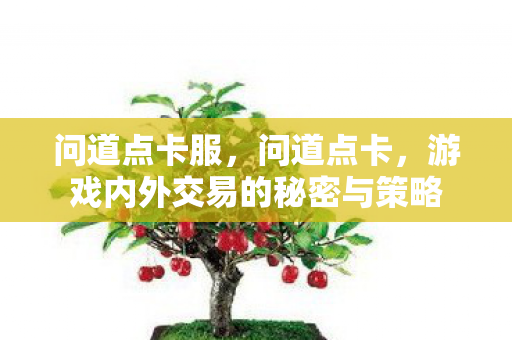 问道点卡服，问道点卡，游戏内外交易的秘密与策略