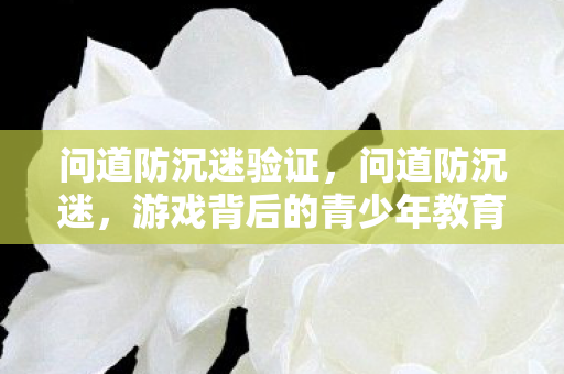 问道防沉迷验证,问道防沉迷,游戏背后的青少年教育挑战与应对策略 问道防沉迷验证,问道防沉迷,游戏背后的青少年教育挑战与应对策略