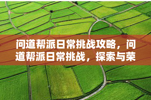 问道帮派日常挑战攻略，问道帮派日常挑战，探索与荣耀的征途
