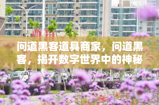 问道黑客道具商家,问道黑客,揭开数字世界中的神秘面纱 问道黑客道具商家,问道黑客,揭开数字世界中的神秘面纱