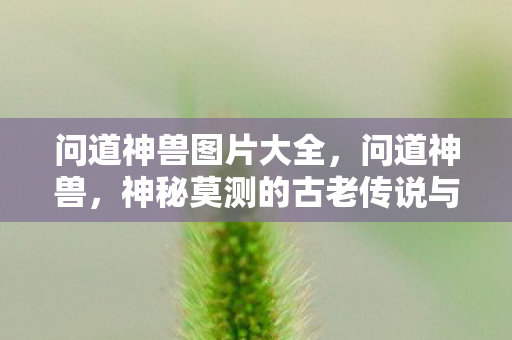 问道神兽图片大全，问道神兽，神秘莫测的古老传说与现实中的形象展现