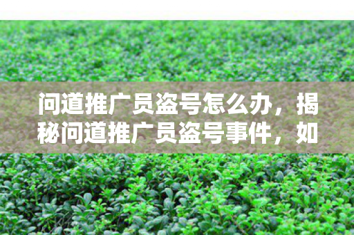 问道推广员盗号怎么办,揭秘问道推广员盗号事件,如何防范于未然? 问道推广员盗号怎么办,揭秘问道推广员盗号事件,如何防范于未然?
