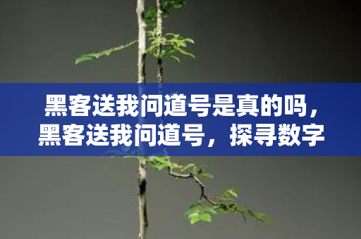 黑客送我问道号是真的吗,黑客送我问道号,探寻数字世界的神秘面纱 黑客送我问道号是真的吗,黑客送我问道号,探寻数字世界的神秘面纱