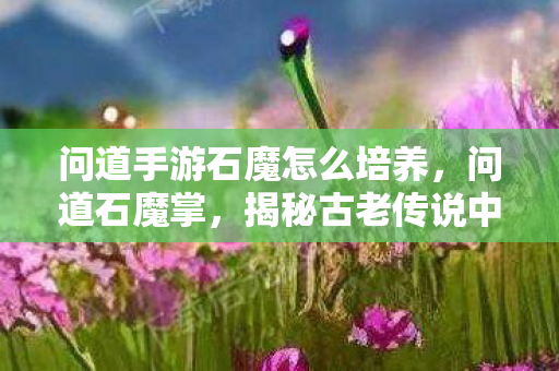 问道手游石魔怎么培养,问道石魔掌,揭秘古老传说中的绝世武学 问道手游石魔怎么培养,问道石魔掌,揭秘古老传说中的绝世武学