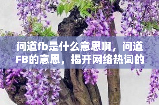 问道fb是什么意思啊,问道FB的意思,揭开网络热词的神秘面纱 问道fb是什么意思啊,问道FB的意思,揭开网络热词的神秘面纱