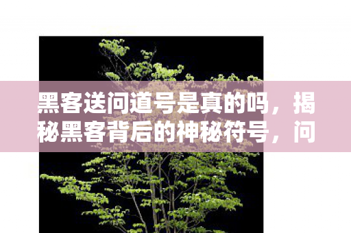 黑客送问道号是真的吗,揭秘黑客背后的神秘符号,问道号背后的故事与真相 黑客送问道号是真的吗,揭秘黑客背后的神秘符号,问道号背后的故事与真相