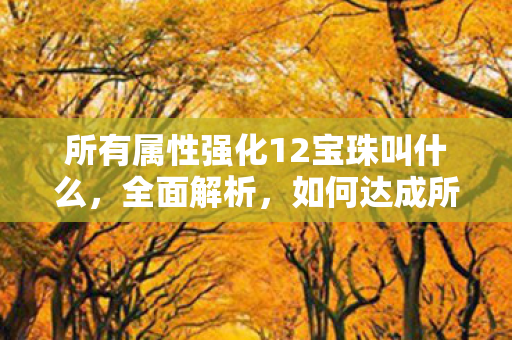 所有属性强化12宝珠叫什么,全面解析,如何达成所有属性强化10 所有属性强化12宝珠叫什么,全面解析,如何达成所有属性强化10
