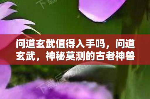 问道玄武值得入手吗,问道玄武,神秘莫测的古老神兽 问道玄武值得入手吗,问道玄武,神秘莫测的古老神兽