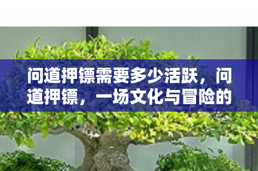 问道押镖需要多少活跃,问道押镖,一场文化与冒险的交融之旅 问道押镖需要多少活跃,问道押镖,一场文化与冒险的交融之旅
