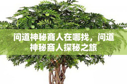 问道神秘商人在哪找,问道神秘商人探秘之旅 问道神秘商人在哪找,问道神秘商人探秘之旅