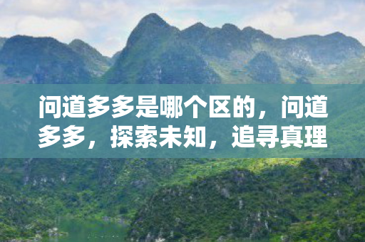问道多多是哪个区的，问道多多，探索未知，追寻真理的旅程