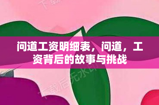 问道工资明细表，问道，工资背后的故事与挑战