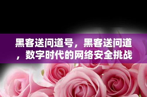 黑客送问道号,黑客送问道,数字时代的网络安全挑战与应对之道 黑客送问道号,黑客送问道,数字时代的网络安全挑战与应对之道