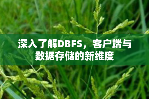 深入了解DBFS,客户端与数据存储的新维度 深入了解DBFS,客户端与数据存储的新维度