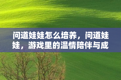 问道娃娃怎么培养,问道娃娃,游戏里的温情陪伴与成长之路 问道娃娃怎么培养,问道娃娃,游戏里的温情陪伴与成长之路